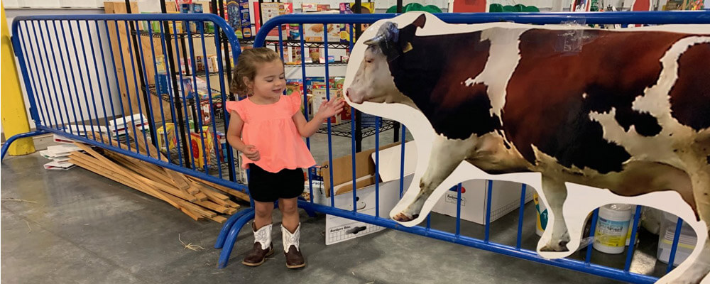 Girl and Cow