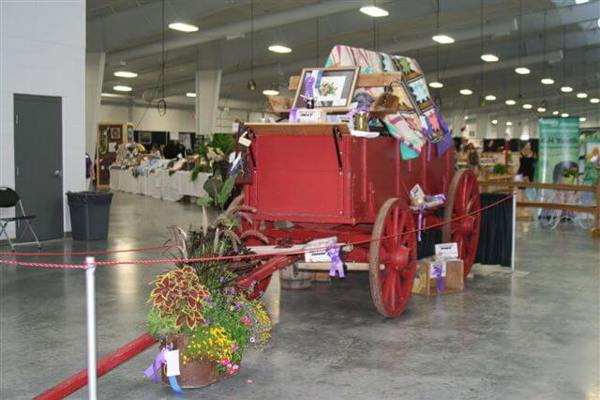 Hall County Fair 2011 7