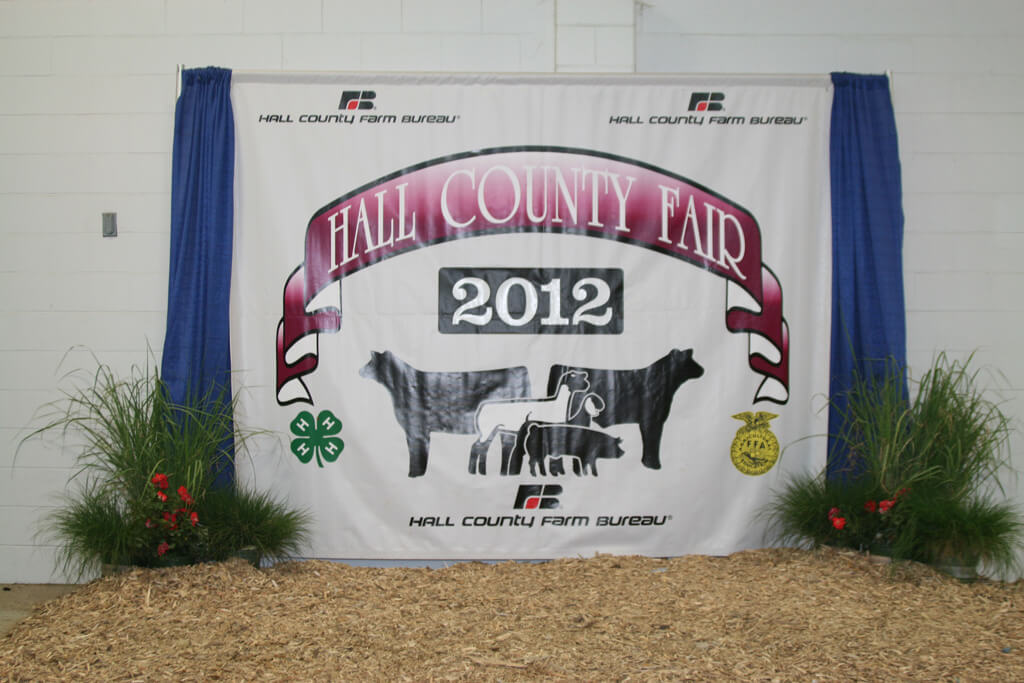 Hall County Fair 2012 12