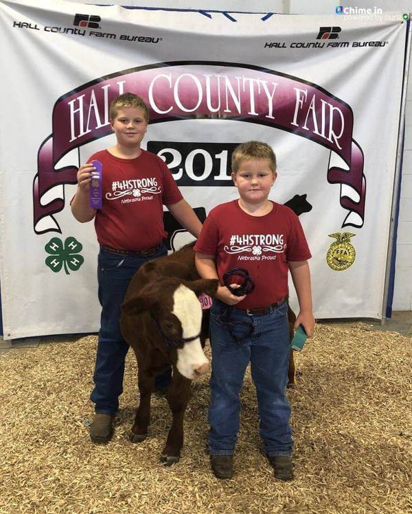 Hall County Fair 2019 2