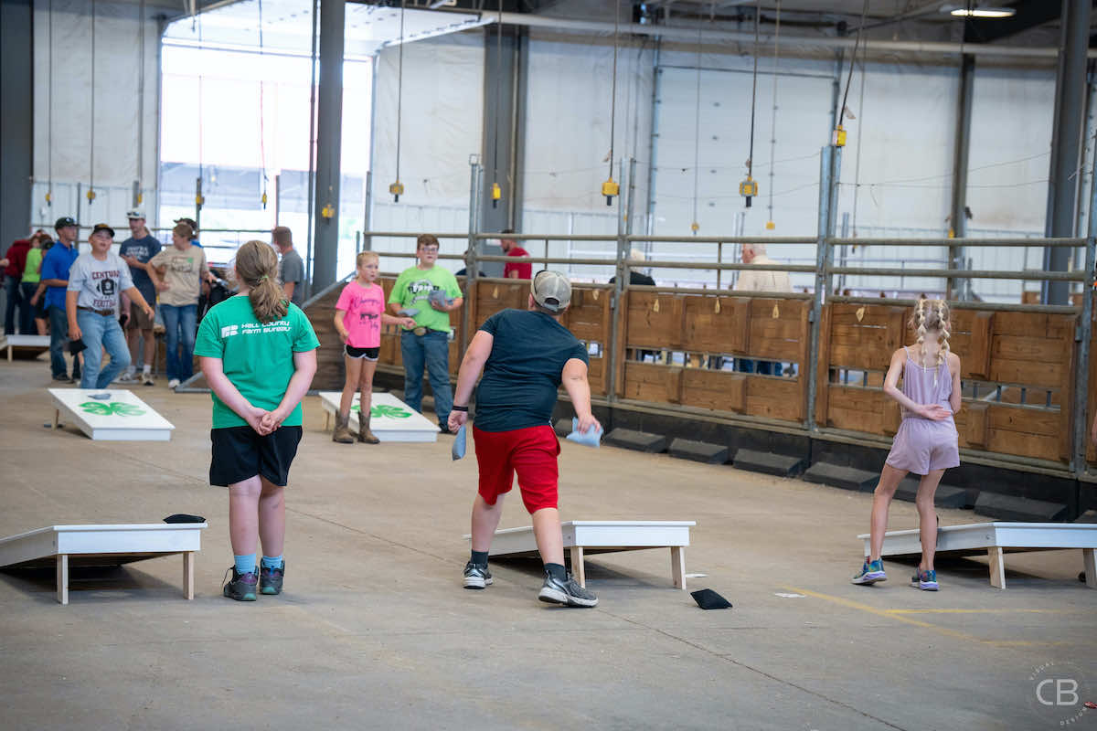 Gallery Photo of the Hall County Fair