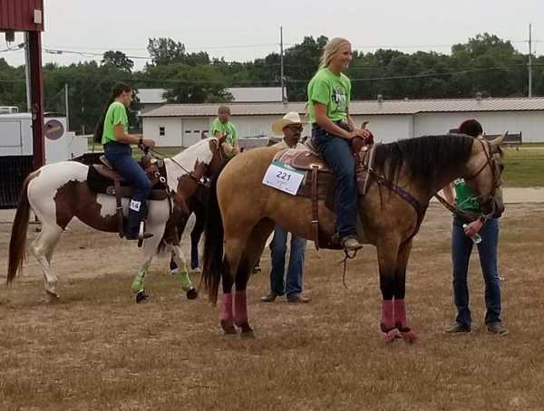 Horse Show