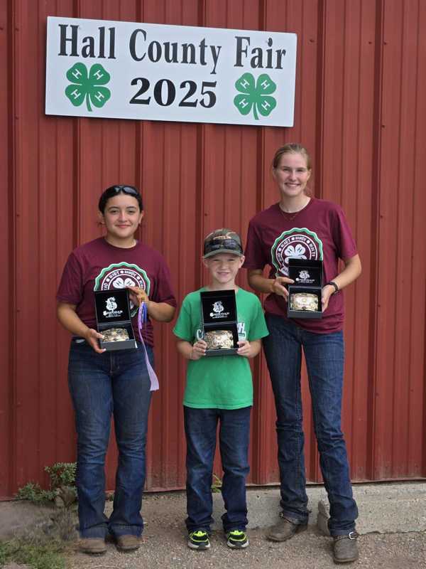 hall county fair 2025 11