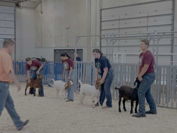 hall county fair 2025 2
