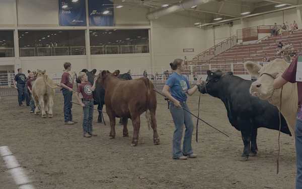 hall county fair 2025 3