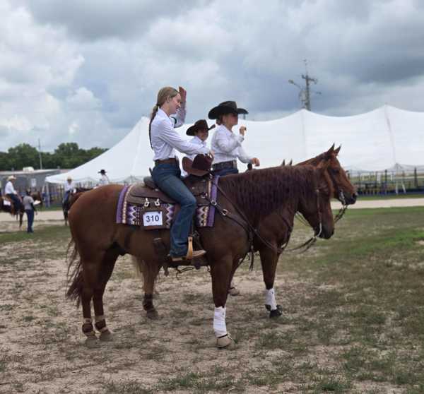 hall county fair 2025 7