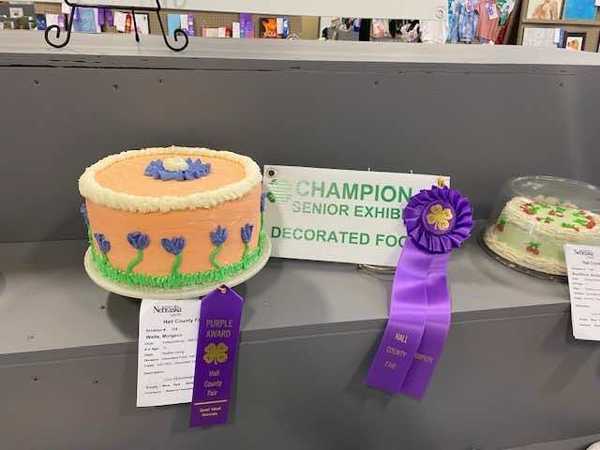 hall county fair 2025 8