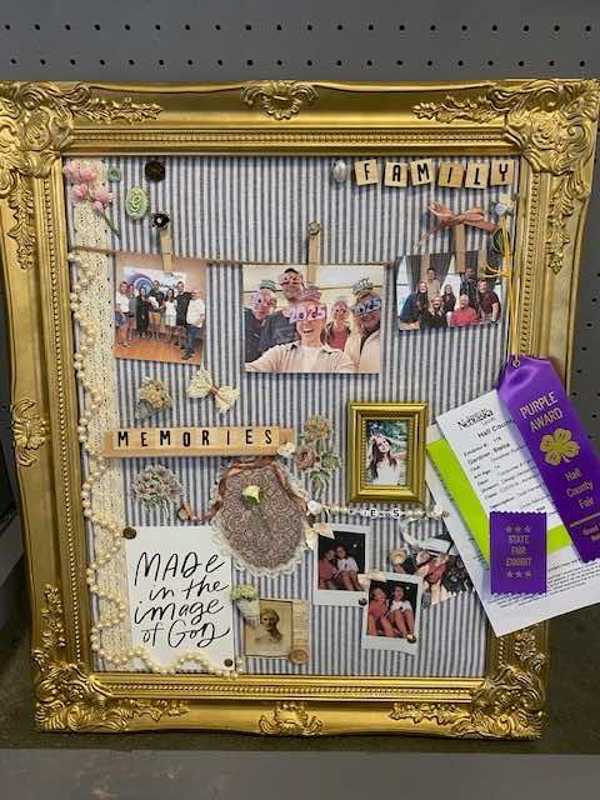 hall county fair 2025 9