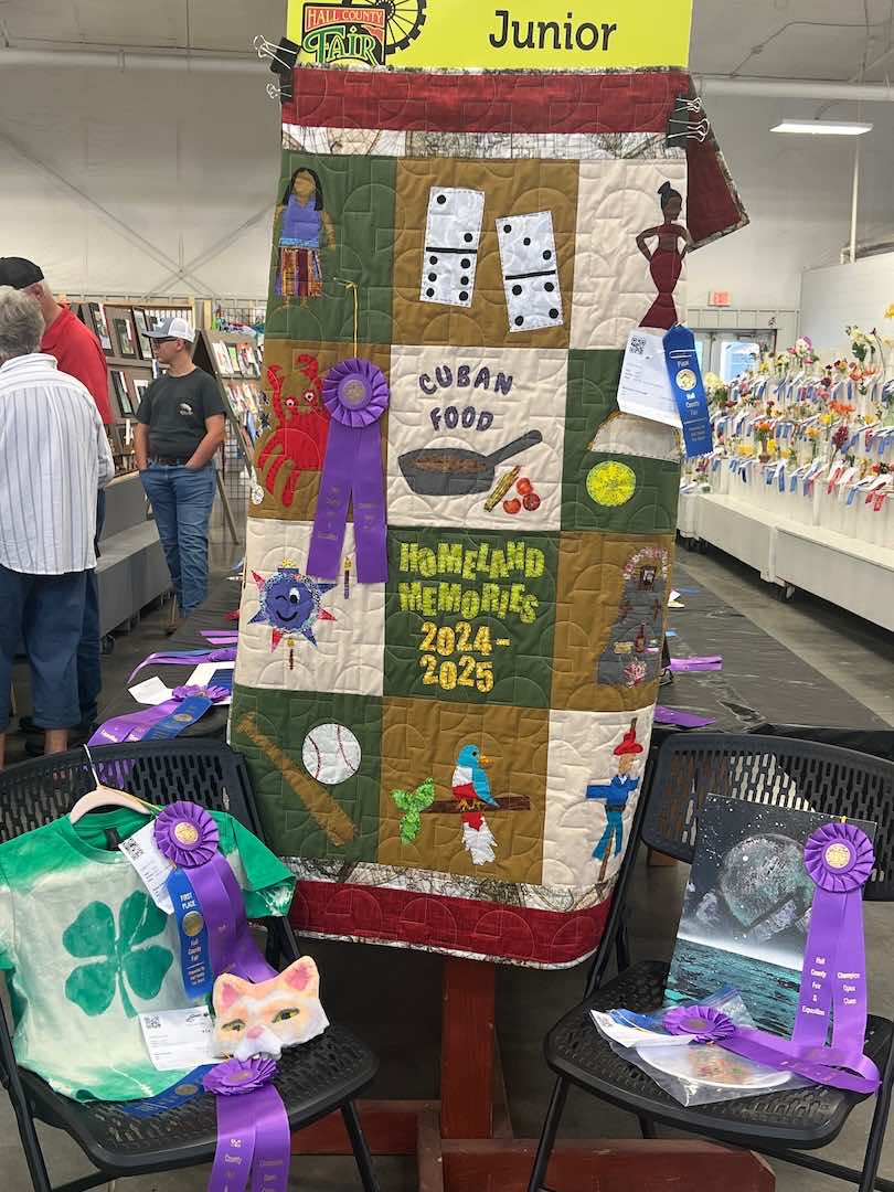Gallery Photo of the Hall County Fair