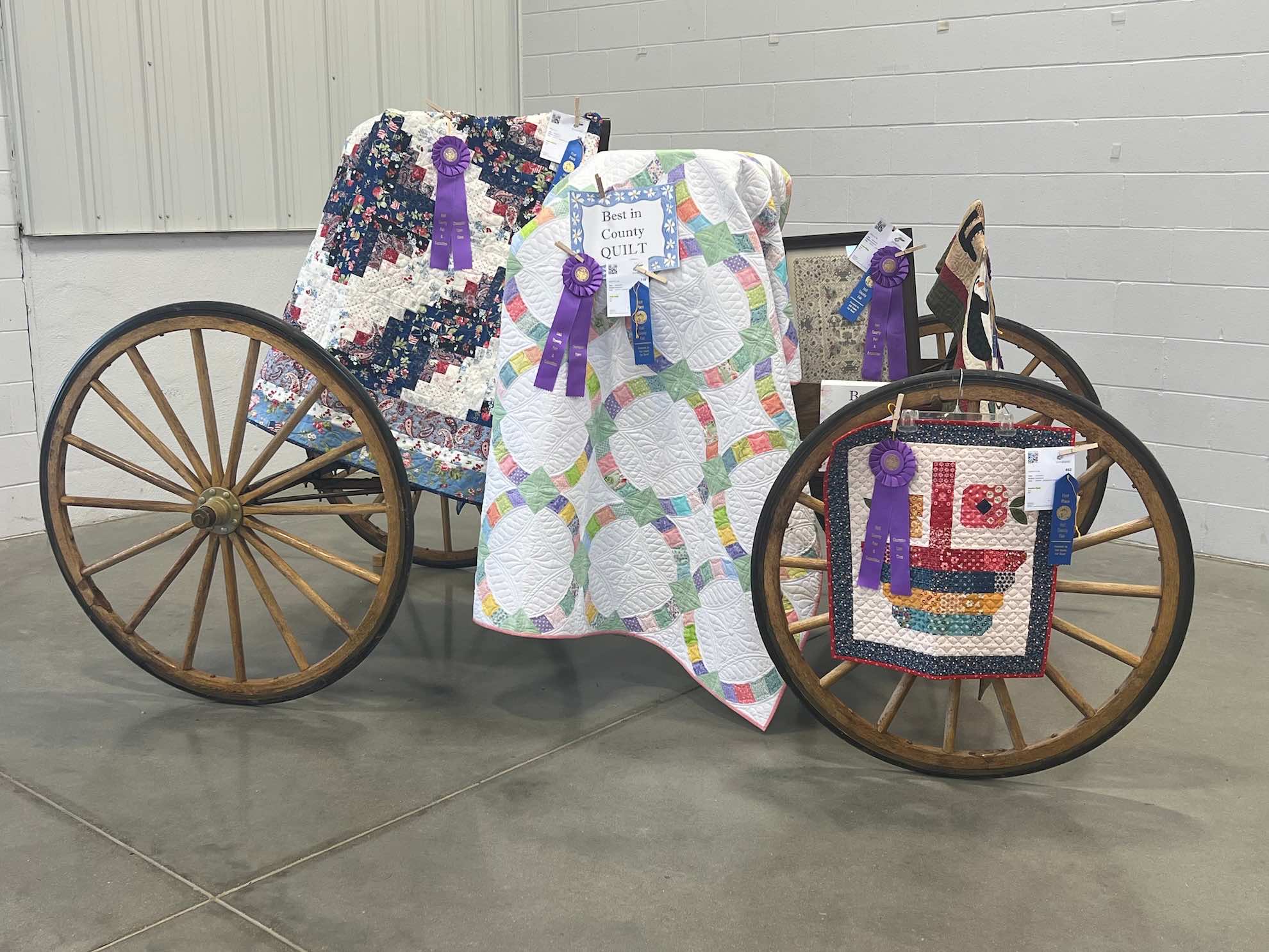 Gallery Photo of the Hall County Fair