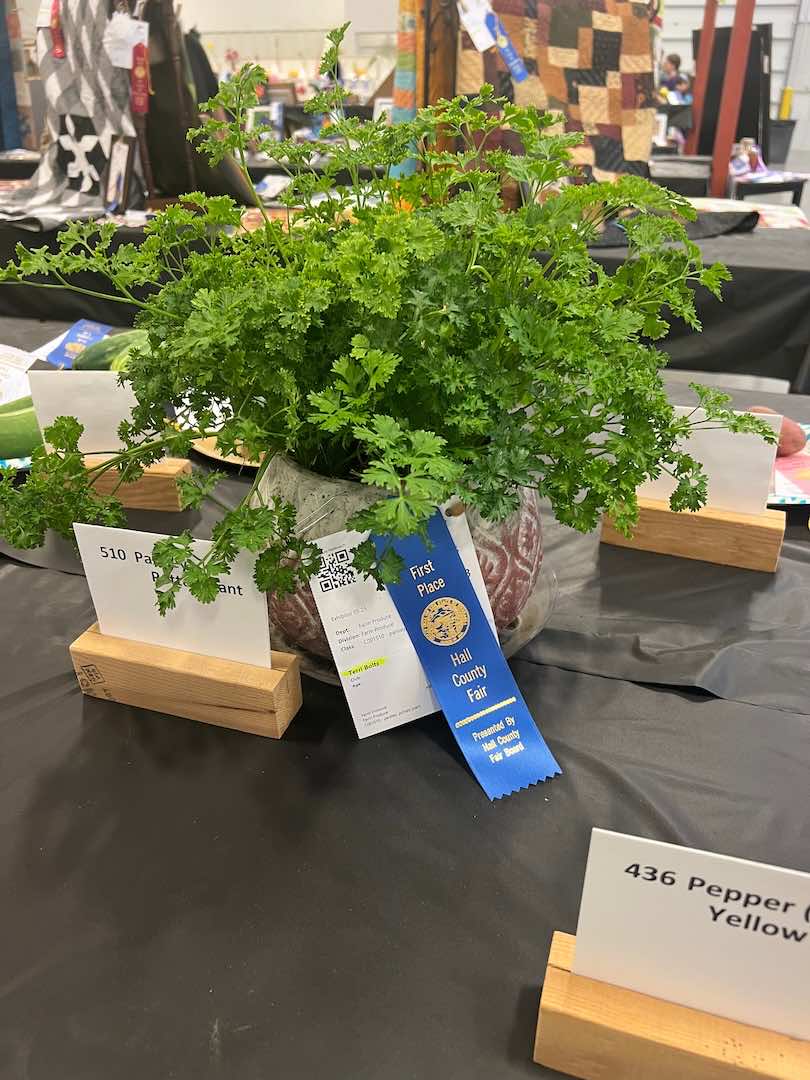 Gallery Photo of the Hall County Fair