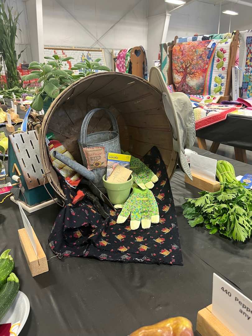Gallery Photo of the Hall County Fair