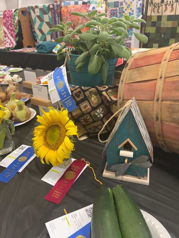 hall county fair open class 18