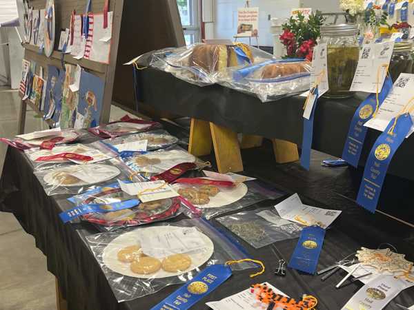 hall county fair open class 8
