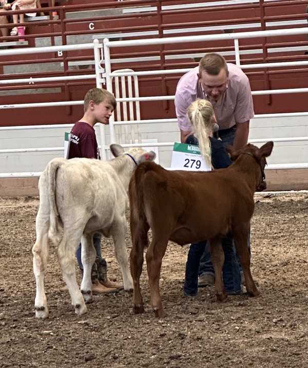 hall county 4h 2026 1