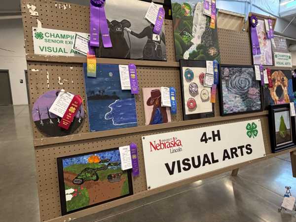 hall county 4h 2026 11