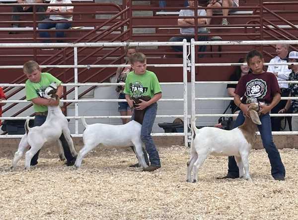 hall county 4h 2026 4