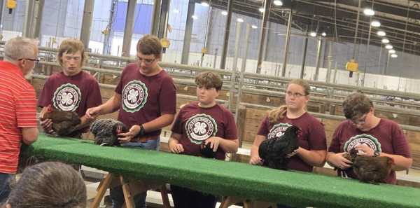 hall county 4h 2026 7