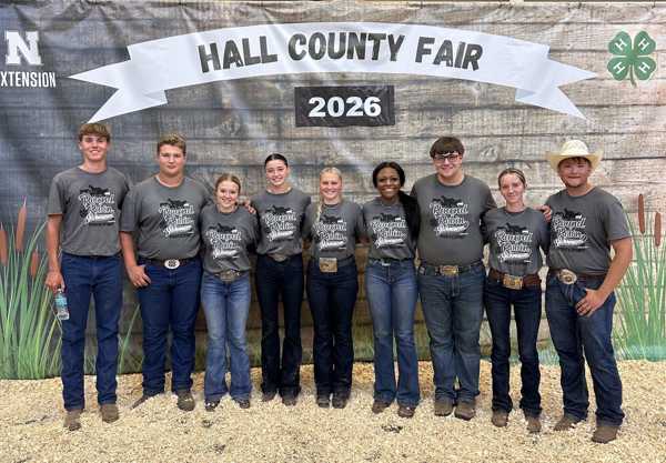 hall county 4h 2026 8