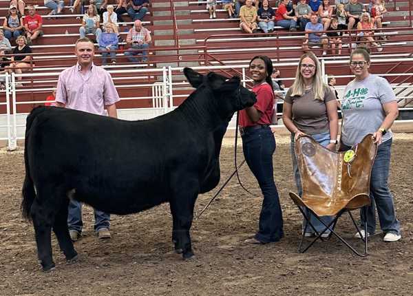 hall county 4h 2026 9