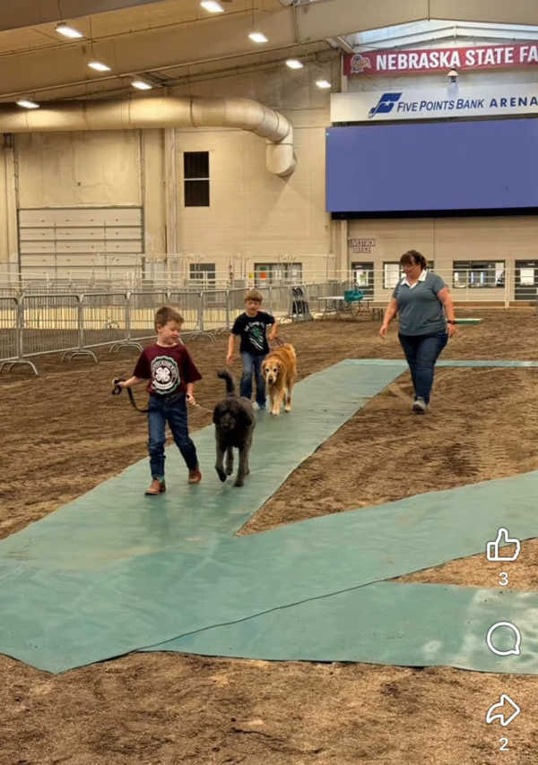 hall county open class 2026 22