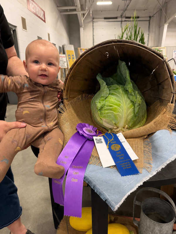 hall county open class 2026 30