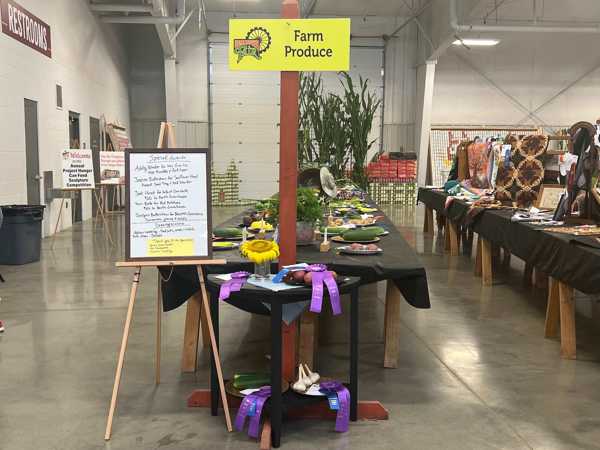 hall county fair open class 1