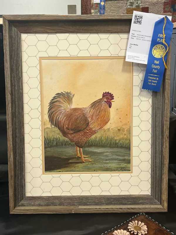 hall county fair open class 10