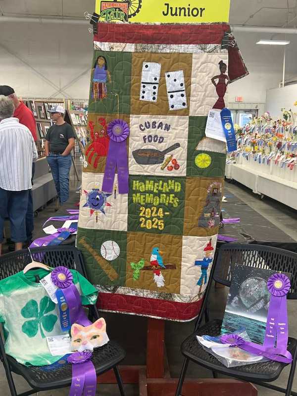 hall county fair open class 14