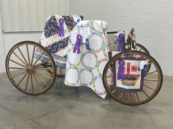 hall county fair open class 15