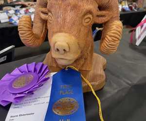 hall county fair open class 20