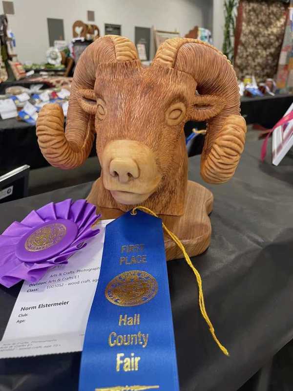 hall county fair open class 20
