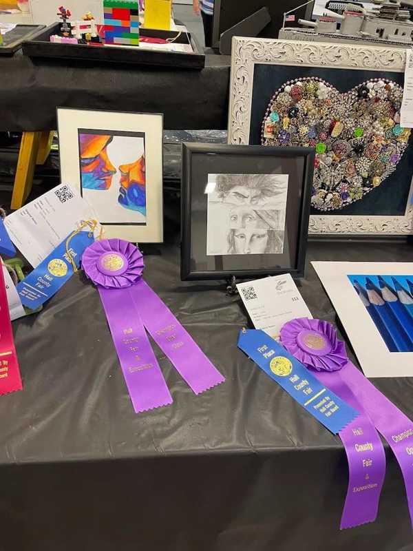 hall county fair open class 21